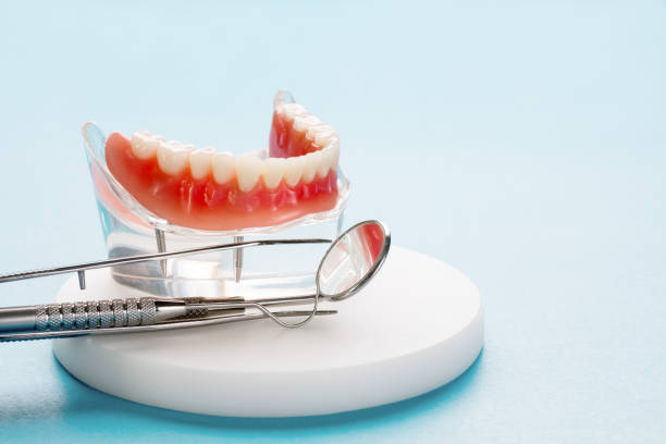 Best Root Canal Treatment  in Palm Beach Shores, FL